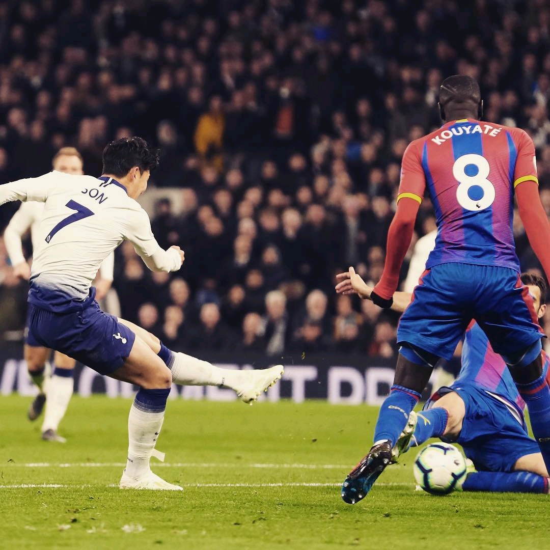 個籃板的全 個籃板的全