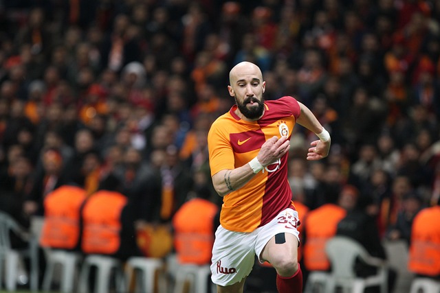 面的重要性 面的重要性